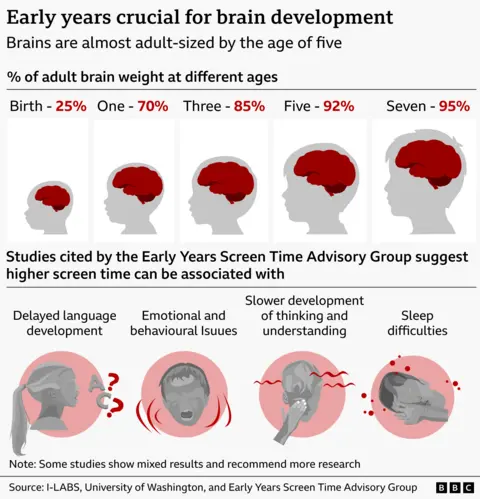 This infographic shows how important the early years are for brain development